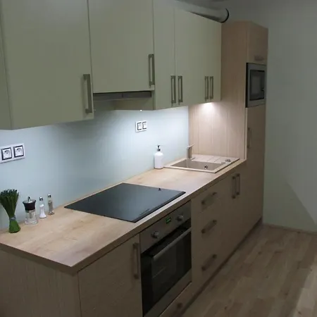 Apartman Cardovi Dolni Morava Room photo